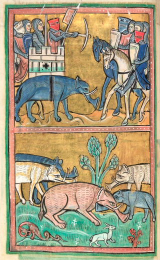 Illustration for article titled How Europeans Imagined Exotic Animals Centuries Ago, Based on Hearsay